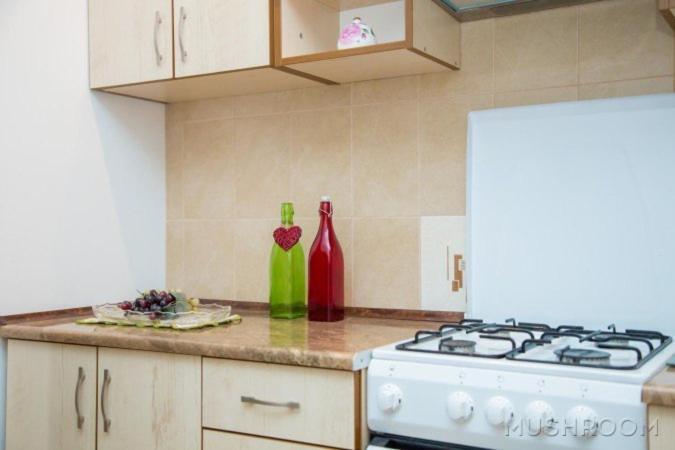 Apartment Kostyushka Lviv Eksteriør billede